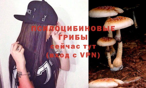 гидра Алексеевка