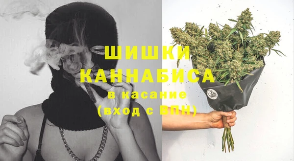 гидра Алексеевка
